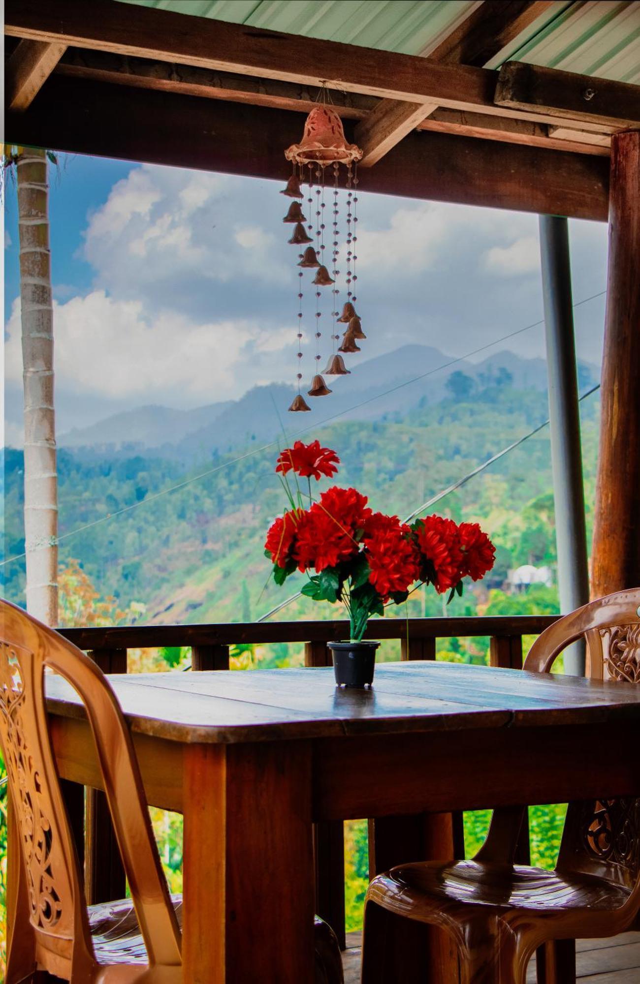 The Sunshine Ella Apartment Bagian luar foto