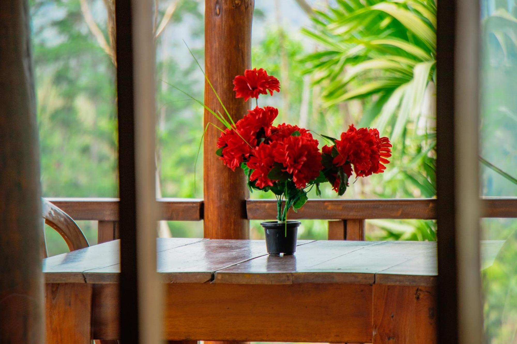 The Sunshine Ella Apartment Bagian luar foto