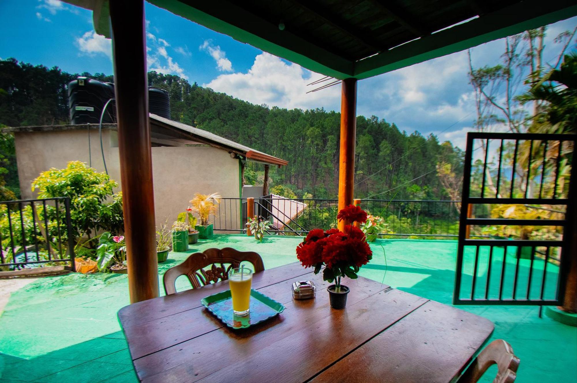 The Sunshine Ella Apartment Bagian luar foto